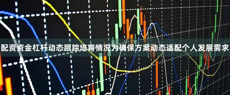 配资资金杠杆动态跟踪培育情况为确保方案动态适配个人发展需求