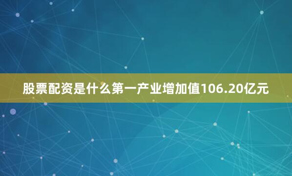股票配资是什么第一产业增加值106.20亿元
